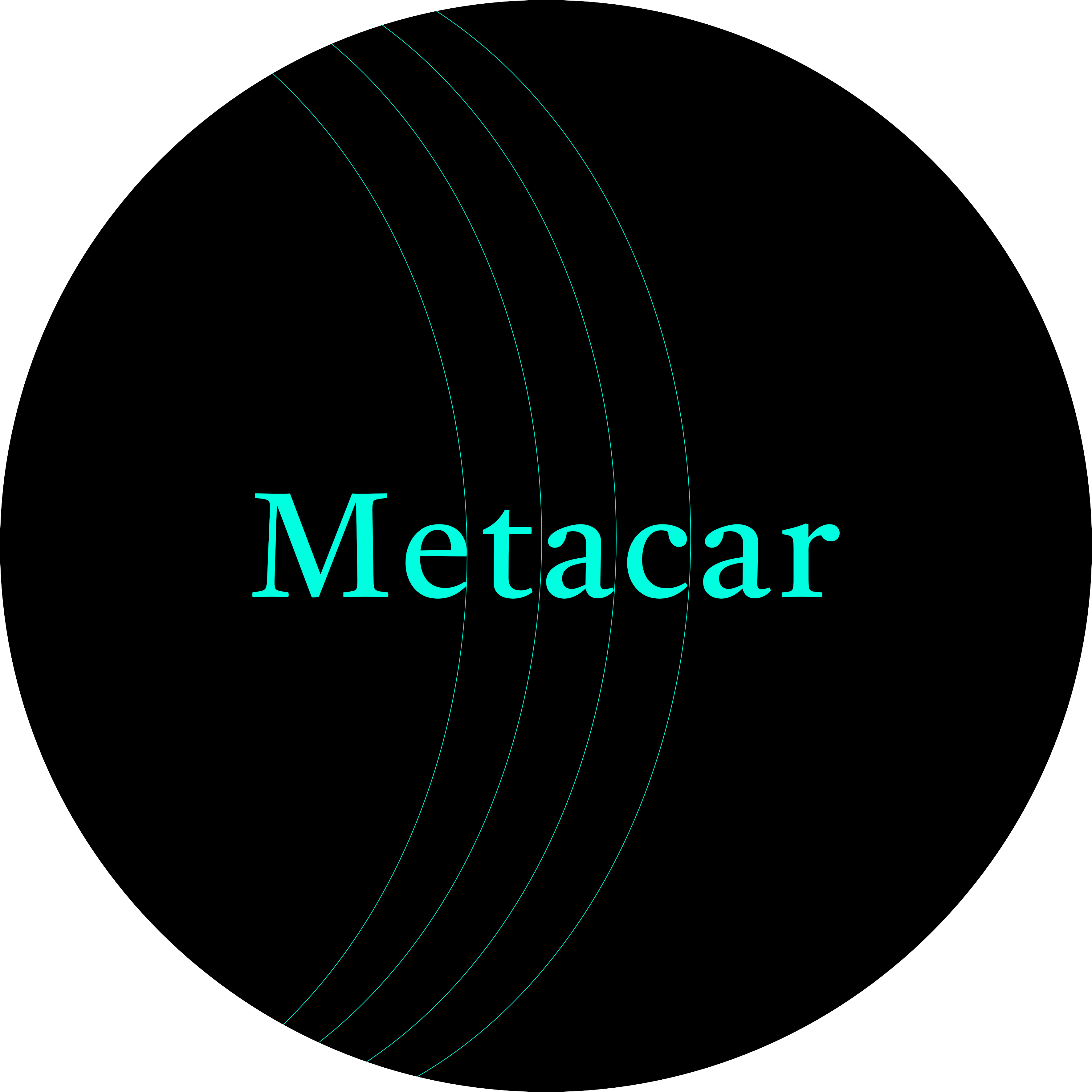 Metacar Logo